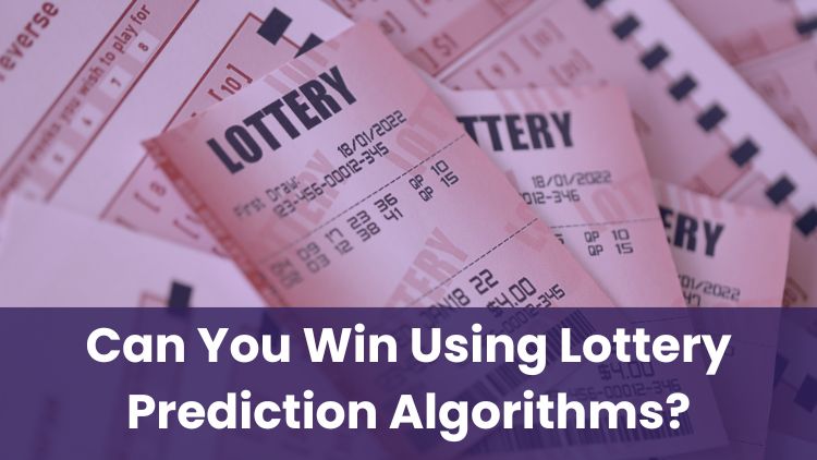 Can You Win Using Lottery Prediction Algorithms?