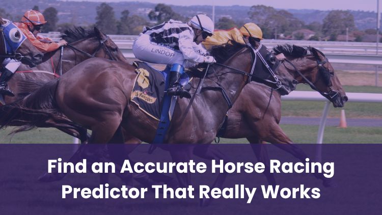 Find an Accurate Horse Racing Predictor That Really Works