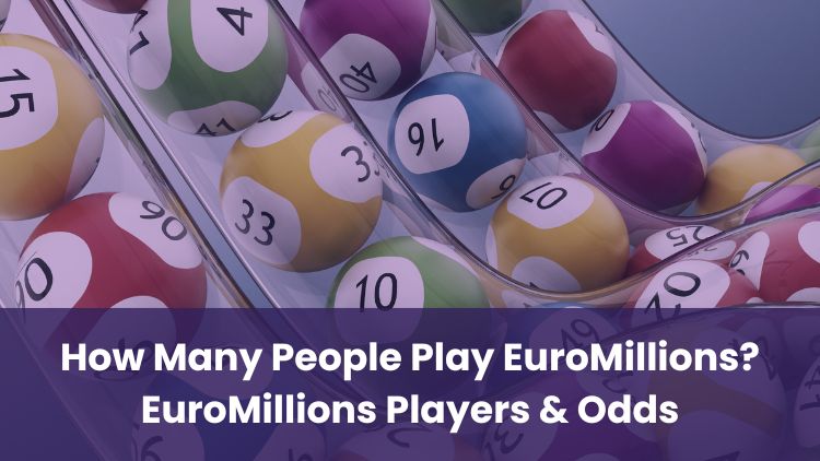 How Many People Play EuroMillions? EuroMillions Players & Odds