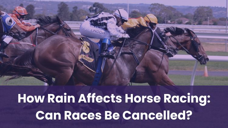 How Rain Affects Horse Racing: Can Races Be Cancelled?
