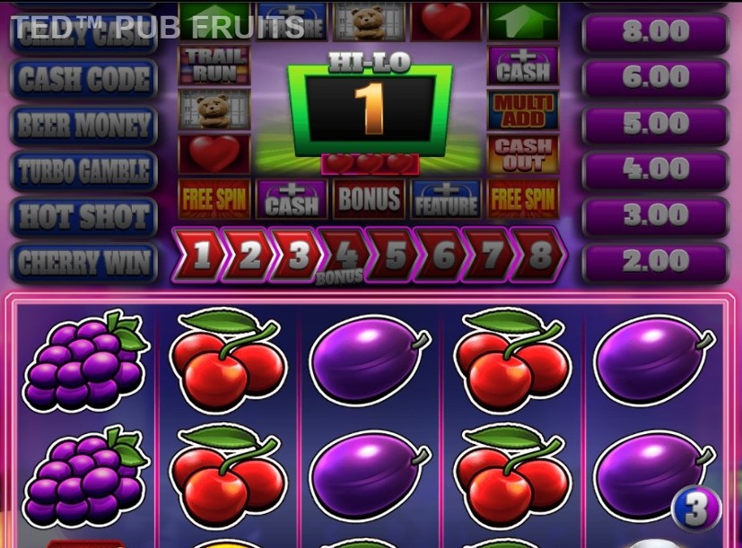 Ted Pub Fruits Series Slot Gameplay